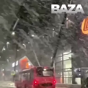 ������ ������ ����� ������ ������� �������� ��������� ������� �������� ��������� �������� �� 29 ������