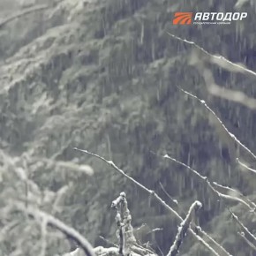 �������� ��������!. �� ���� ����������� �������� � ��������� ����� ������������� ����� 300 ������ �������, �� ��������� ����� ������������ ����� 8 ����� ���� ����������������� ����������