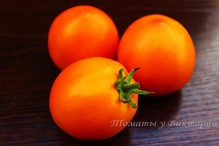 ����� ���������� ������: ������������ ������� ��� ��������