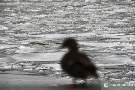 ����������� � ������ ��������� �� ����� 23 �������� � �������, ������� ��������