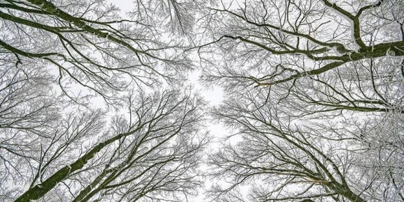 �� ���� ������ ��������� ���� ������ � ������� ���������