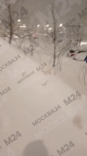 ���������� ���� �� ������, ������� �������� ������, � ������� ������������ �� ��������