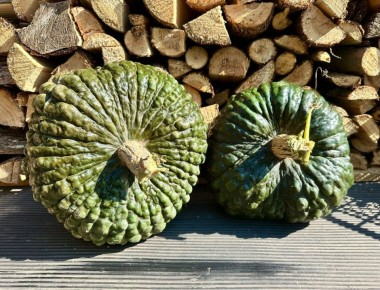 ����� ��������� ����� ������ � ���� � �� �������