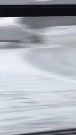 ������� ���������� � ��������� �����������, ��� �� 12.00 ��� ������������� ����� ���������