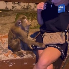 Туристка узнала о смертельной опасности из комментариев под своим постом