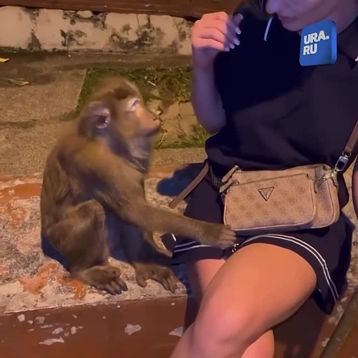 Туристка узнала о смертельной опасности из комментариев под своим постом