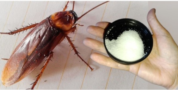 ��� �������� �������� ���������: ������� ���� �� ����