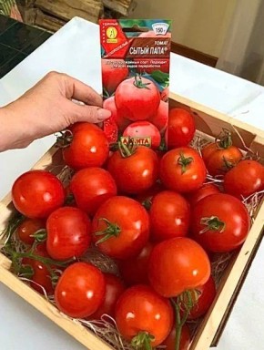 ����� ����: ���������� ����������� ���������������� ����� � �������� �������