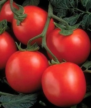 ����� ����������: �������� ������ ��� ������� ������ � ���������