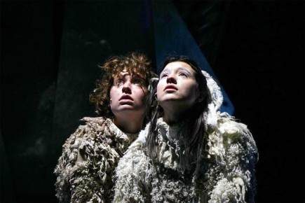 Посмотреть спектакль и сделать доброе дело — театр «Шалом» и благотворительный фонд помощи бездомным животным «Ника» проводят добрую акцию