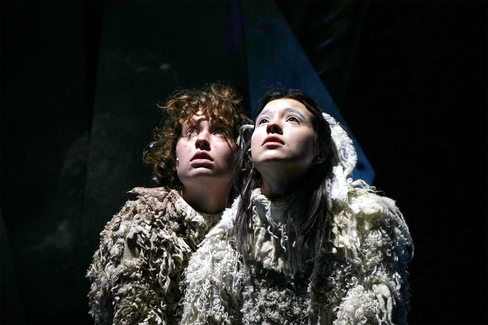 Посмотреть спектакль и сделать доброе дело — театр «Шалом» и благотворительный фонд помощи бездомным животным «Ника» проводят добрую акцию