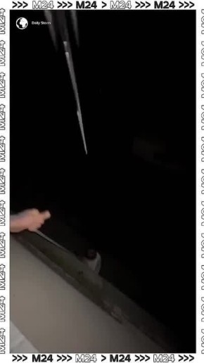 ������� ������� ������ � ���� ����������� �� �����