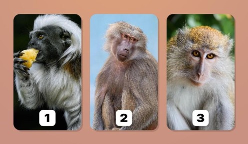 ����� ����� �������� � ��� ����������� � ������ ���������: ������ �� ����� � ����� ��������