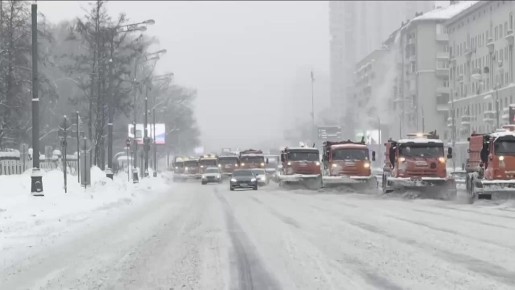 � ������ ��������. �� ��������� ����������, �� ��������� �� 29 ������