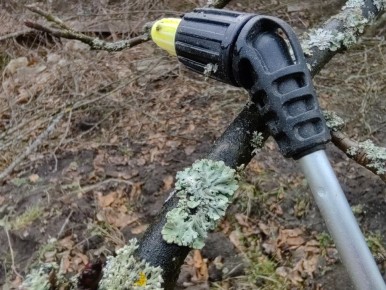 ������ �������� ������� �������� ���������� �� ��������� �� ������ ������