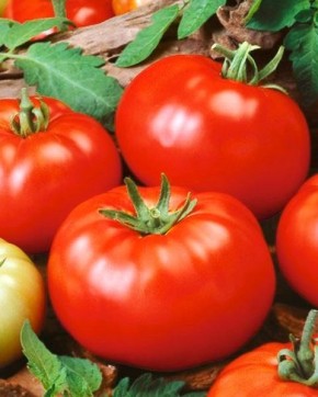 �����: ��������� ������ ����� ��� ��������� ������ � �����������