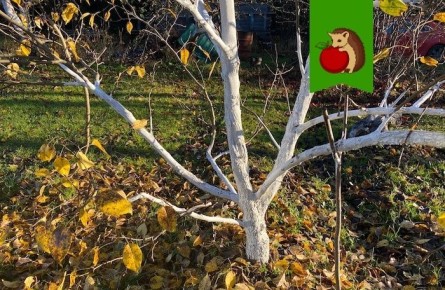 ����� ������ ���������� �������� �������� ����� ������: ������ �������� ��� ���������� ������� ����