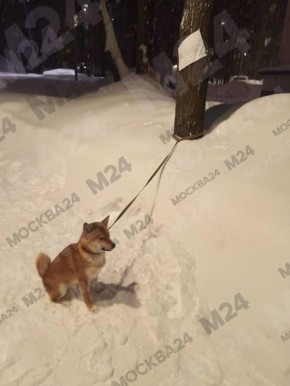 ������� ��� ������: ��������� �������� ������ � ������ � ������� �� ������ �� ����� ���������� � ������