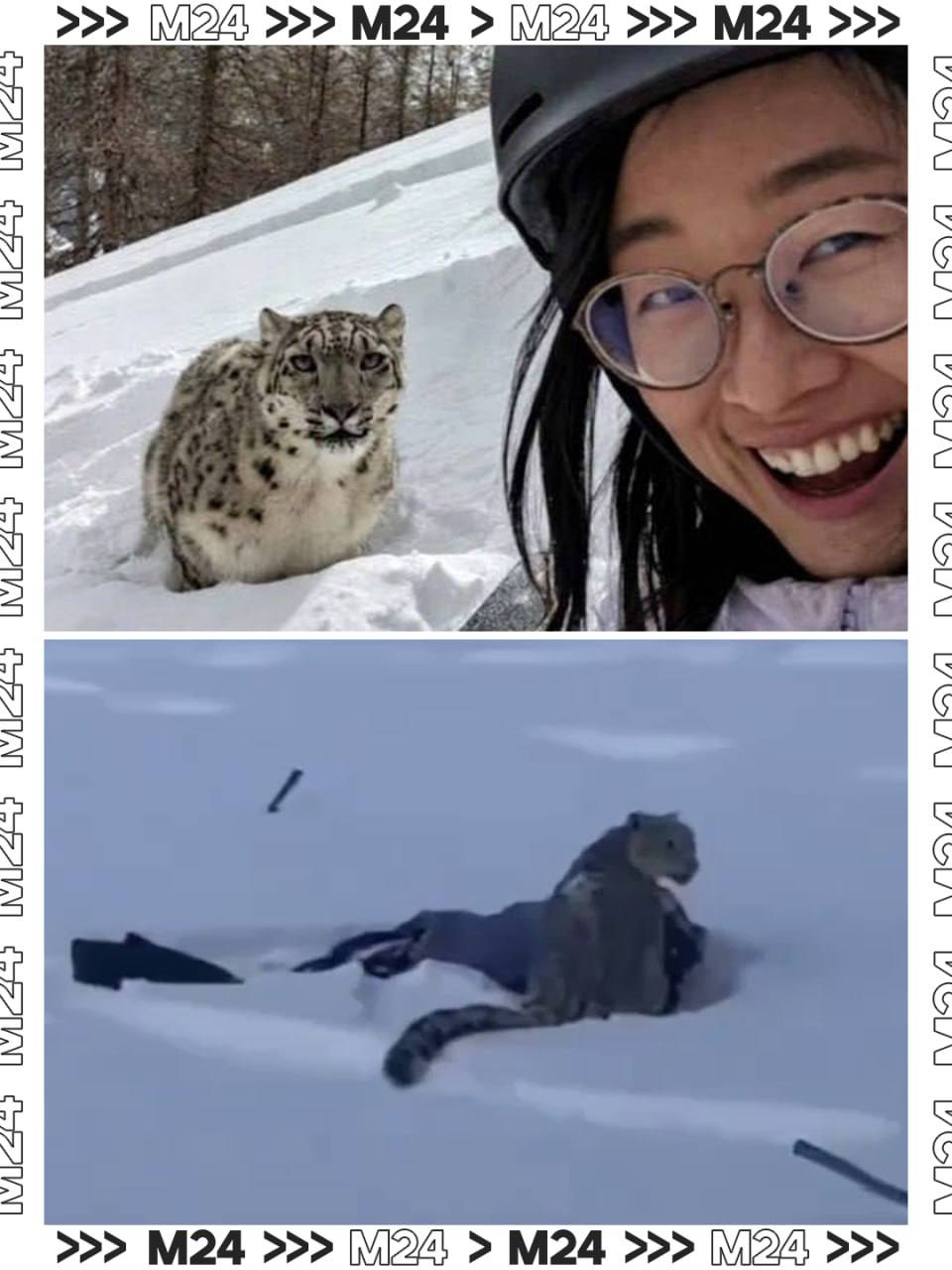 Селфи закончилось искалеченным лицом