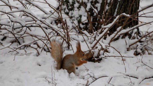 � � ��������� ���� ����� ������� ����� � ����� ����� �������������� 30 ������ � 11:00