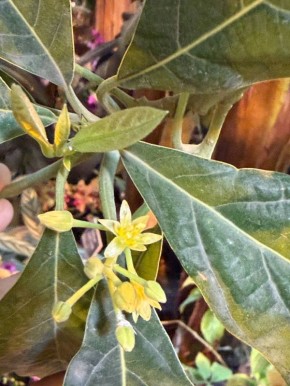 ������� ������� � ����������� ������� ��� � ������� � XXI ����!