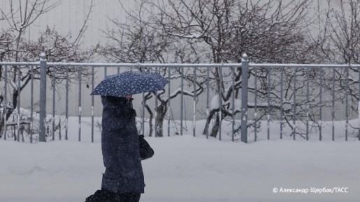 ������ �� ����� ����������������� ������ ���������� � ������ � �� ����� ������ 14 �� �������