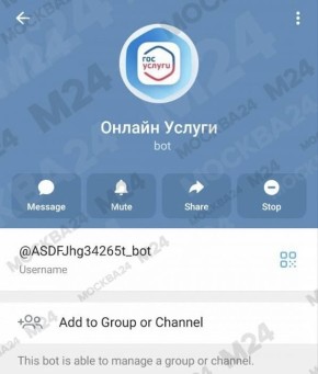 ���������, ����� ������: ��������� ���������� � ���� � ������������!