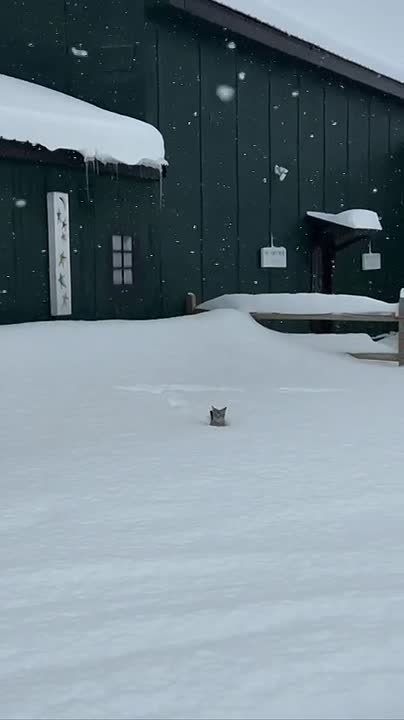 Так сегодня москвичи добираются на работу