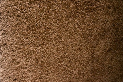 ��� ��������� �����, �� �������� ���: ��������, ������� �������� ���� �����