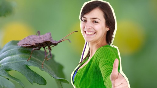 ������ ������� �� ��������� ������ � �������: ��� ��� �������� ������� ���������