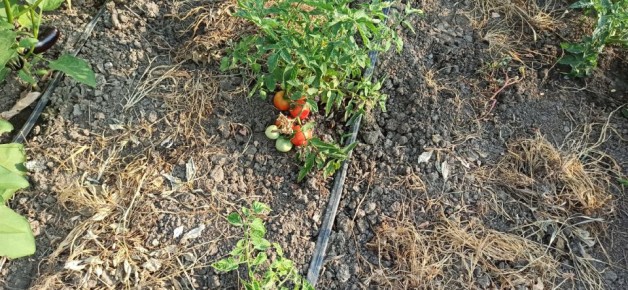 ���������� � ���������: ���� ������ ������ ������� � ������� �������