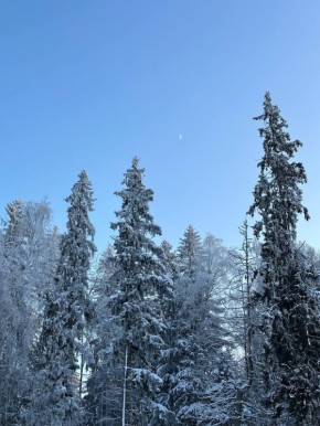 ���������: ������ ������ �� �����