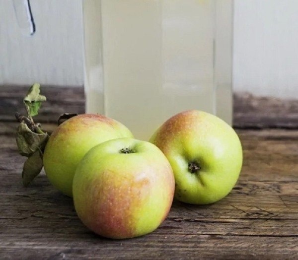 Секреты натуральных подкормок для здоровых растений