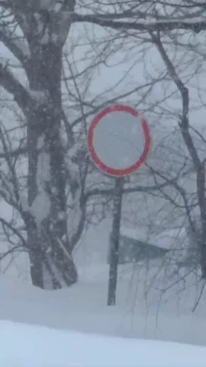 � ��� �������� �������� ����� ��������