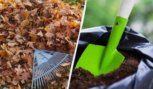 ��� �� ������� ������� �������� ���������: ������� ��������