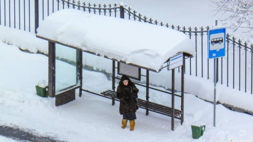 В Москве мать двоих детей арестовали на 10 суток за мат на остановке