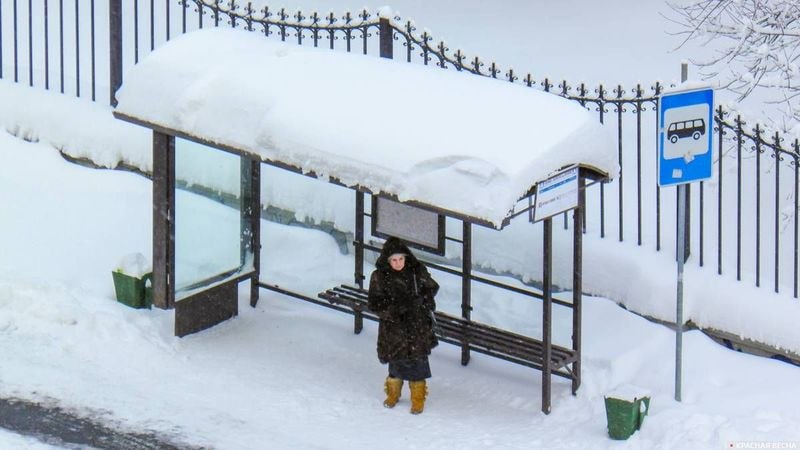 В Москве мать двоих детей арестовали на 10 суток за мат на остановке