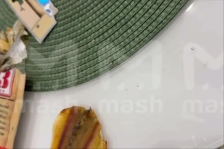 � ����� ������ ����� ����� � �������� � �����