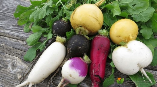 ������� ��������: ��� ������ ������ � ������ ������ ����� � �������