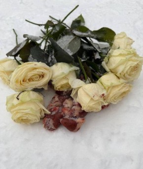 Букеты роз с сырыми куриными сердечками начали появляться в столичных парках