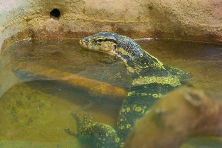 ����� ������ ����������� �������� � ��������� ����� � ���������� ��������