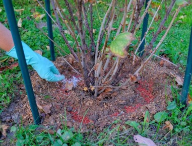 ������� ��������� ��� �������� � �����������: ������� ��������� ������