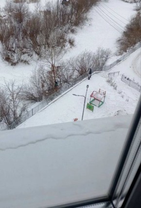 Дерево для ребёнка – доклад для чиновника