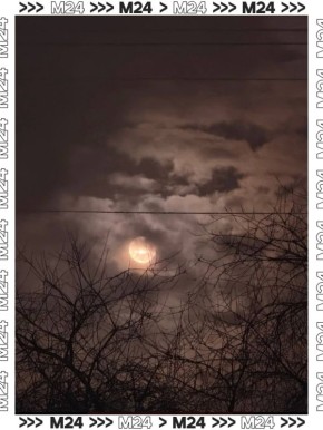 � ��� � �������� ����. ������� ������� �� �����������, ���� �� ������ ������������ ���������� ��������