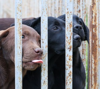 �������, ������� �� ����� ����������: