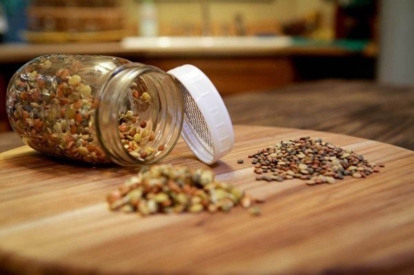 Эффективная подготовка семян для успешного посева