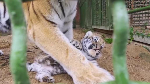 ��� ������� ���� �������� ������ �� ������ ��������������� ����������� ��������? ������ ���!