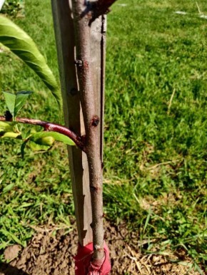 �� �������� �����������: ��� ������� �� ���� � ������ ������