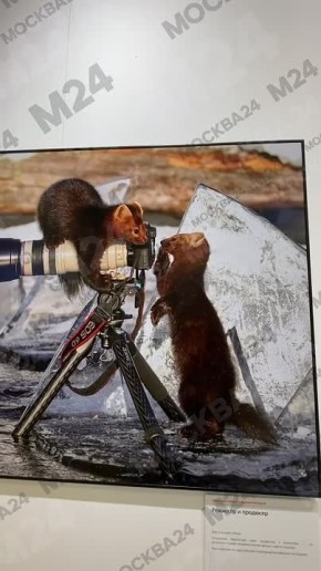 ���������� � ������ �������� ����� ������� � � ����� � ������!