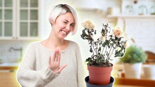 ������ �� ������ ������: ������� ��������������� ����� ��������, ������� ���� ���������